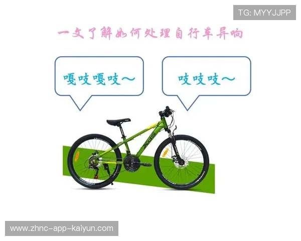 2026 自行车变速器保养指南：解决异响的最后手段。，变速自行车保养需要准备的东西